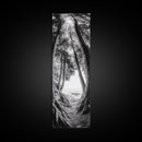 Forest Path, Ocean View, Tall Trees, Canvas Print, Black and White Nature Art, Entryway Wall Art, Rustic Woodland Aesthetic, Bedroom Wall Art