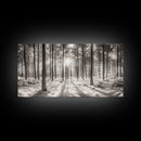 Winter Pine Forest, Sunlight Snow Trees, Nature Landscape Photography, Framed Canvas Print, Cabin Decor, Minimalist Wall Art