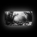 Kelp Forest Rays, Underwater Light, Black and White Ocean Scene, Framed Canvas Print, Nature Wall Art, Coastal Bathroom Decor
