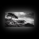 Lone Tree, Foggy Cliffs, Dramatic Landscape, Moody Sky, Framed Canvas Print, Nature Wall Art, Cabin Decor, Autumn Coastal Vibes