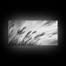 Pampas Grass, Wind Blown, Sky Motion, Autumn Field, Framed Canvas Print, Boho Wall Art, Bedroom Fall Botanical Decor, Living Room Decor