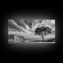 Coastal Tree Cliff, Ocean Breeze Scene, Scenic Nature Vibes, Framed Canvas Print, Boho Bedroom or Serene Living Room Wall Art