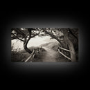 Ocean Cliff Path, Framed Trail Trees, Coastal Escape Scene, Framed Canvas Print, Boho Bedroom or Peaceful Hallway Wall Art, Entryway Accent