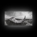 Driftwood Horn Curve, Coastal Nature Art, Whale Bone Decor, Beachside Minimalism, Canvas Print, Entryway Wall Art, Nautical Rustic Decor