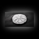 Sand Dollar, Beach Detail, Minimalist Sea, Calm Nature, Framed Canvas Print, Bathroom Wall Art, Coastal Boho Decor, Ocean Zen Style