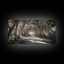 Tree Tunnel Trail, Light Dappled Path, Forest Archway Scene, Framed Canvas Print, Hallway Wall Art, Boho Natural Decor, Living Room Wall Art