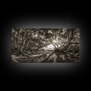 Enchanted Forest Light, Tree Shadows, Nature Landscape, Framed Canvas Print, Rustic Wall Art, Entryway Woodland Decor, Boho Forest Print