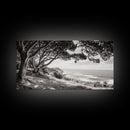 Ocean View, Coastal Trees, Cliffside Vista, Light and Shadows, Framed Canvas Print, landscape wall art, modern beach decor, boho living room
