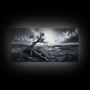 Windswept Tree, Coastal Landscape, Stormy Sky, Canvas Print, Desert Wall Art, Rustic Living Room Decor, Dramatic Minimalist Artwork