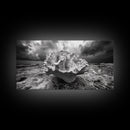 Coral Texture, Ocean Storm, Dramatic Sky, Sea Fossil, Framed Canvas Print, Coastal Nature Art, Fall Entryway Wall Decor, Cabin Wall Art