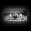 Hermit Crab, Close-Up, Ocean Creature, Monochrome Nature, Framed Canvas Print, Marine Wall Decor, Coastal Kitchen Wall Art, Entryway Accent