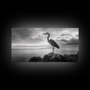 Heron Bird, Ocean Rock, Serene Wildlife, Canvas Print, Coastal Wall Art, Modern Farmhouse Decor, Minimalist Animal Scene
