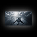 Underwater Dolphin, Ocean Wildlife Art, Marine Animal Decor, Coastal Vibes, Canvas Print, Bathroom Wall Art, Nautical Themed Room