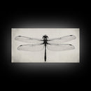 Dragonfly Sketch, Insect Art Print, Botanical Illustration, Minimalist Natural History, Framed Canvas Print, Office or Study Wall Art