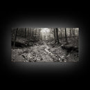 Forest Stream, Tranquil Woodland Path, Autumn Nature Photography, Framed Canvas Print, Rustic Cabin Decor, Living Room Wall Art