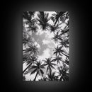 Palm Tree Sky, Tropical Canopy, Black and White Island View, Jungle Overhead Scene, Framed Canvas Print, Bathroom Wall Art, Beach Boho Decor