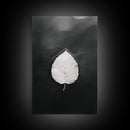 Floating Leaf, Still Water, Nature Simplicity, Autumn Calm, Canvas Print, Minimalist Wall Art, Bathroom Decor, Scandinavian Fall Style