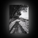 Coastal Shadows Path, Black and White Landscape, Framed Canvas Print, Entryway Art, Calm Nature Scene, Moody Coastal Wall Decor