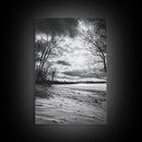 Dramatic Beach Sunset, Bare Trees Silhouette, Nature Photography, Framed Canvas Print, Fall Wall Art, Entryway Decor, Rustic Minimalist