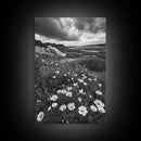 Meadow Bloom, Coastal Flowers, Stormy Sky, Framed Canvas Print, Spring Wall Art, Nature Photography, Kitchen Botanical Decor