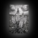 Lupine Flower Field, Bold Floral, Spring Nature Scene, Framed Canvas Print, Boho Living Room Art, Botanical Wall Decor