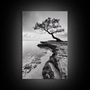 Coastal Tree Silhouette, Serene Nature Art, Ocean Wall Scene, Framed Canvas Print, Beach House Decor, Minimalist Design