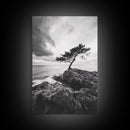 Lone Tree, Cliffside Ocean, Windy Coast Art, Framed Canvas Print, Bedroom Wall Art, Modern Nature Photography, Coastal Minimalist Decor