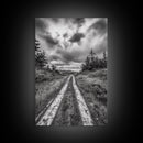 Forest Trail, Overcast Sky, Nature Pathway, Moody Landscape, Framed Canvas Print, Office Wall Art, Woodland Autumn Decor