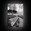 Coastal Path, Nature Trail, Windswept Tree, Framed Canvas Print, Rustic Landscape Art, Minimalist Decor, Bedroom Wall Art, Fall Vibes