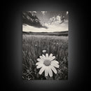 Wildflower Field, Daisy Bloom, Summer Meadow, Framed Canvas Print, Boho Botanical Wall Art, Bedroom Decor, Earthy Nature Photography