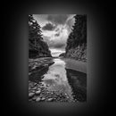 Tide Pool, Forest Reflection, Coastal Calm, Framed Canvas Print, Black White Nature Art, Bathroom or Bedroom Decor, Tranquil Scene