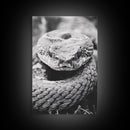 Rattlesnake Face, Coiled Closeup, Venomous Gaze, Canvas Print, Macro Wildlife Wall Art, Reptile Decor, Intense Black White Photography