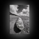 Whale Bone, Coastal Find, Ocean Relic, Framed Canvas Print, Seaside Wall Art, Beach House Decor, Nautical Minimalist Photography