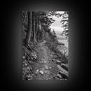 Forest Pathway Trail, Wilderness Escape, Rustic Nature, Black and White Framed Canvas Print, Cozy Cabin or Entryway Wall Art