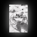 Sand Crab, Beach Macro, Ocean Critter Art, Framed Canvas Print, Coastal Bathroom Decor, Beach House Wall Art, Nature Close-Up