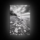 Flower Shore, Peaceful Beach, Moody Sky, Petal Scape, Framed Canvas Print, romantic beach art, bedroom decor, black and white floral print