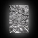 Oak Tree Tunnel, Southern Charm, Shaded Pathway, Timeless Trees Framed Canvas Print, farmhouse wall decor, hallway landscape art