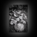 Seashell Pile, Textured Beach, Coastal Treasures, Natural Beauty Framed Canvas Print, bathroom decor, shell art, beach wall style