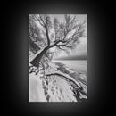 Coastal Snow, Barren Tree, Frozen Shoreline, Canvas Print, Serene Winter Decor, Entryway or Hallway Minimalist Wall Art