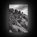 Hillside Forest, Peaceful Pines, Mountain Light, Framed Canvas Print, Nature Wall Art, Cabin Decor, Woodland Landscape Scene