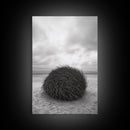 Windswept Beach Nest, Natural Sculpture, Driftwood Ball, Solitude Scene, Canvas Print, Minimalist Wall Art, Neutral Bedroom Decor