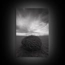 Twilight Field Nest, Tumbleweed Art, Desert Calm, Grassy Plains, Framed Canvas Print, Entryway Wall Art, Boho Nature Landscape