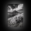 Majestic Volcano, Wild Grass, Black and White, Framed Canvas Print, Nature Photography, Office Decor, Moody Art, Rustic Wall Art