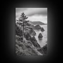 Oregon Coastline View, Misty Cliffs, Evergreen Forest, Coastal Vibes, Framed Canvas Print, Rustic Cabin Art, Living Room Wall Decor