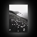 Daisy Cliffside Bloom, Coastal Flowers, Peaceful Nature Scene, Framed Canvas Print, Bedroom Wall Art, Botanical Decor, Minimalist Style