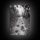Forest Trail Path, Woodland Escape, Nature Walk, Adventure Art, Framed Canvas Print, Office Wall Decor, Autumn Vibes, Rustic Nature Style