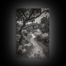 Forest Path, Twisting Trees, Nature Trail Scene, Framed Canvas Print, Earthy Wall Art, Boho Woodland Decor, Entryway or Hallway Accent