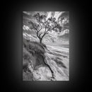 Coastal Tree Scene, Wind Swept Dune, Ocean Beach Horizon, Autumn Coastal Wall Art, Framed Canvas Print, Nature Lover Home Decor