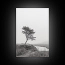 Leaning Tree Path, Soft Fog Scene, Calm Landscape, Canvas Print, Serene Entryway Wall Art, Nature Photography, Minimalist Decor