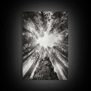 Redwood Canopy Sky, Majestic Forest Trees, Vertical Nature Scene, Framed Canvas Print, Wilderness Wall Art, Lodge or Den Decor